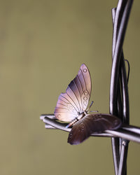 Butterfly & Vine Cross